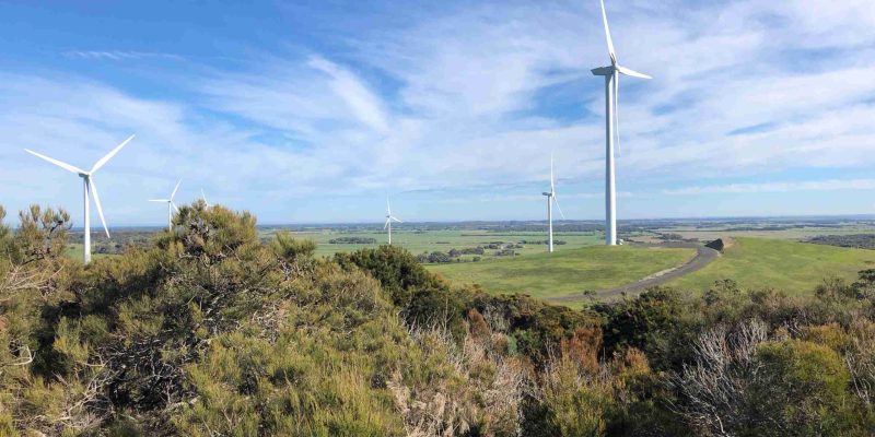 View of Bald Hills Wind Farm from Trig Hill