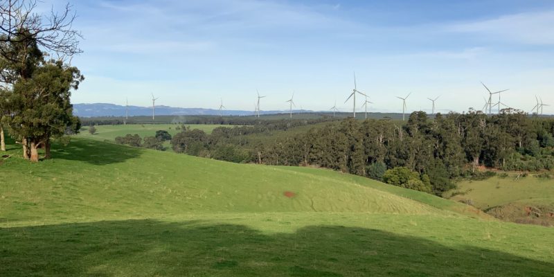 View of wind turbines across hill paddock
