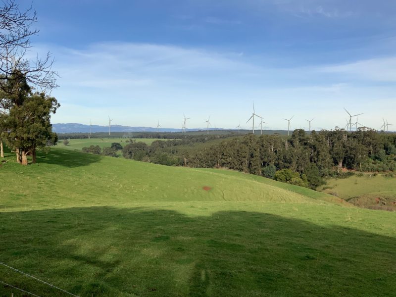 View of wind turbines across hill paddock